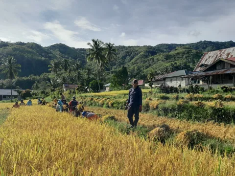 Masyarakat Adat Banasu Melawan Klaim Negara: Hutan Adat 5.989 Hektar Menanti Pengakuan Kementerian Kehutanan