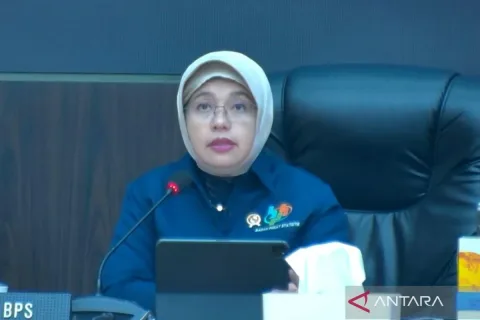 BPS: 21 Provinsi Catat Penurunan IPH, Daging Ayam Ras Jadi Pemicu Kenaikan di Wilayah Lain