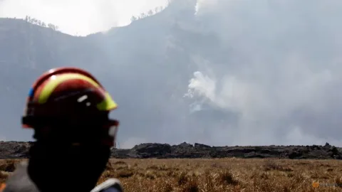 Kebakaran di Taman Nasional Bromo Padam, Titik Api Baru Muncul di Sekitar Kaldera