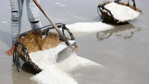 Cuaca Ekstrem Ancam Industri Garam Tradisional Kamboja, Produksi Anjlok Drastis
