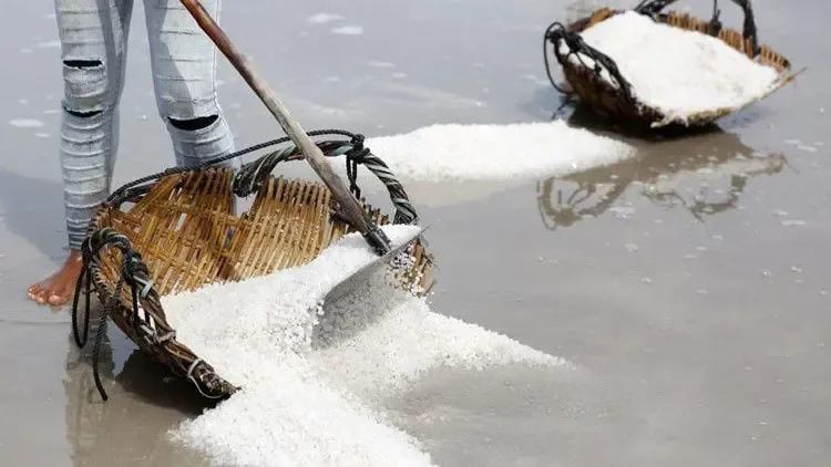 Cuaca Ekstrem Ancam Industri Garam Tradisional Kamboja, Produksi Anjlok Drastis