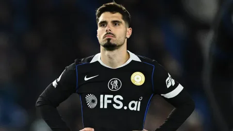 Tottenham Lebih Untung Incar Cody Gakpo daripada Pedro Neto: Analisis Statistik dan Strategi Transfer