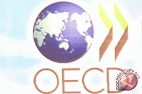 Jalan Indonesia Menuju OECD: Lebih dari Sekadar Gelar Keanggotaan