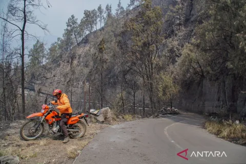Pemerintah Kerahkan Segala Sumber Daya Padamkan Karhutla: Kalimantan dan Bromo Jadi Prioritas
