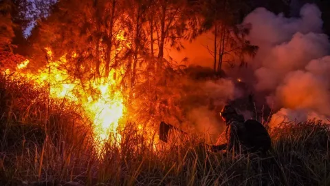 Kebakaran Gunung Bromo: Menko Polkam Tegaskan Penyebabnya Human Error