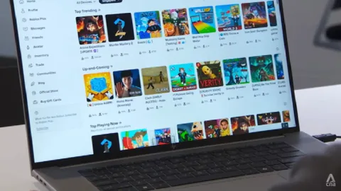 Larangan Roblox Tak Cukup: Singapura Diingatkan soal Radikalisasi Remaja di Platform Game