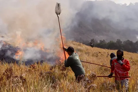 Kebakaran Bromo Meluas, Akses Wisata Ditutup Total: Kerugian Ekonomi dan Ancaman Ekologis Mengintai