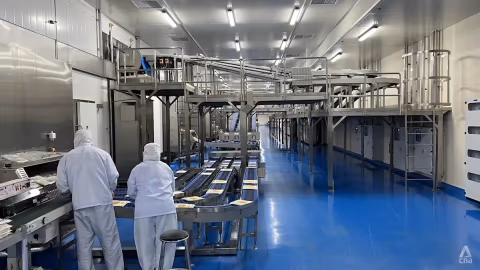 Tarif AS 12,5 Persen Mulai Terasa: Produsen Singapura Pilih Efisiensi, Bukan Pindah Pabrik
