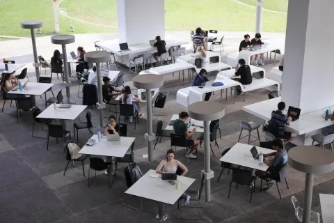 NUS Wajibkan Kursus AI untuk Semua Mahasiswa, Beri Akses Gratis ChatGPT Edu