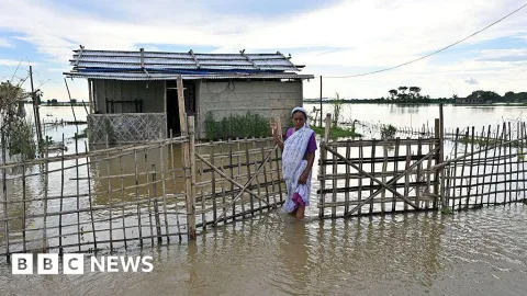 Banjir Assam: Rakit Batang Pisang Selamatkan Nenek 97 Tahun, 100 Tewas