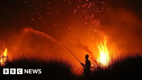 Kebakaran Hutan Indonesia Meluas, 107.000 Hektare Hangus dan Kabut Asap Menyebar ke Malaysia