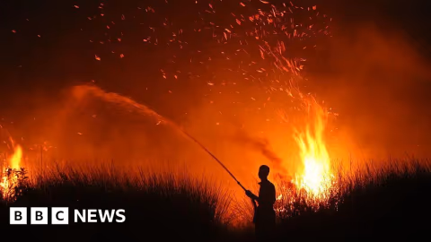 Kebakaran Hutan Indonesia Meluas, 107.000 Hektare Hangus dan Kabut Asap Menyebar ke Malaysia