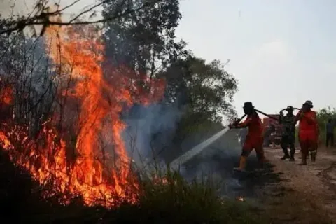 BNPB Padamkan Empat Kebakaran Hutan dan Lahan di Empat Provinsi, Luas Terdampak 16 Hektare