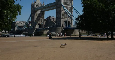Gelombang Panas Ekstrem Landa Eropa: Inggris dan Prancis Kewalahan, Ribuan Kebakaran Hutan Melanda