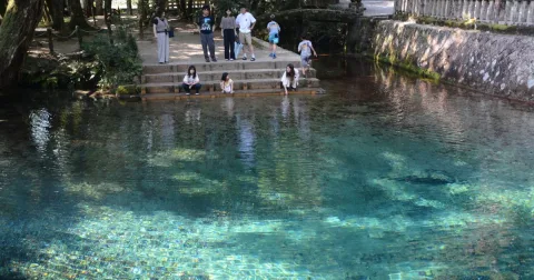 Kolam Biru Bening di Jepang: Sumber Air Suci yang Menjadi Ikon Geopark UNESCO