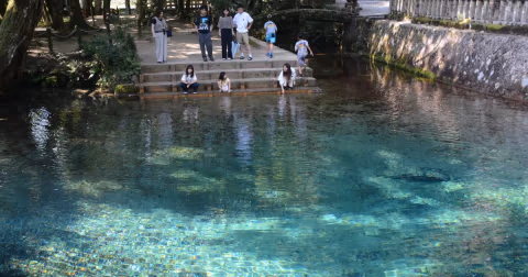 Kolam Biru Bening di Jepang: Sumber Air Suci yang Menjadi Ikon Geopark UNESCO
