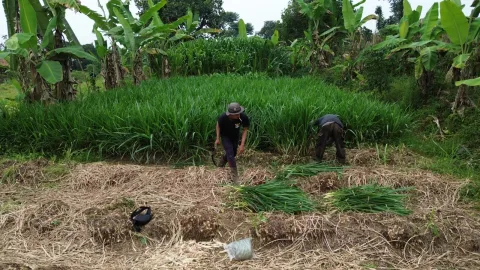 Konflik Agraria Sukajaya Memuncak: Petani vs Pengembang di Kaki Gunung Salak