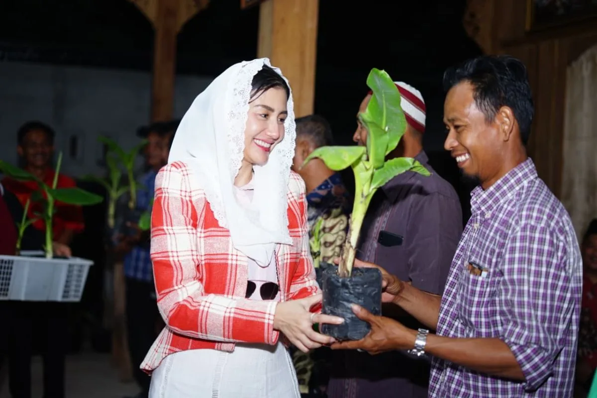 Pisang Cavendish Jadi Motor Ekonomi Desa: Anggota DPR Dorong Replikasi di Ponorogo