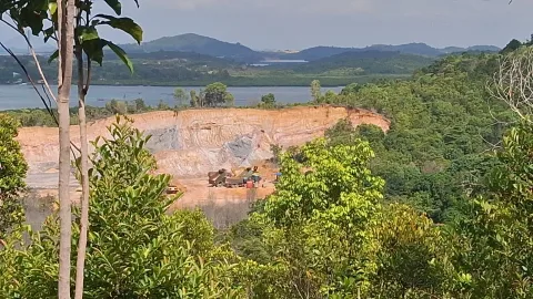 Perusahaan Properti Batam Jadi Tersangka Perusak Hutan Lindung, Kerugian Lingkungan Mengemuka