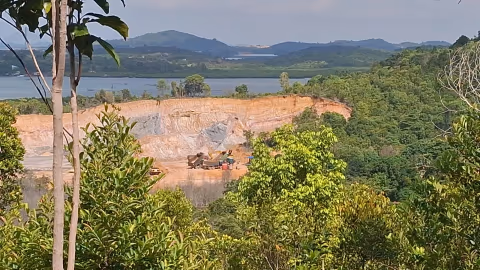 Perusahaan Properti Batam Jadi Tersangka Perusak Hutan Lindung, Kerugian Lingkungan Mengemuka