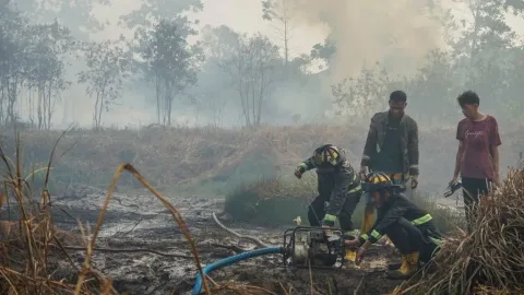 Kementerian Kehutanan Desak Perusahaan Swasta dan Inhutani Verifikasi 14 Titik Panas