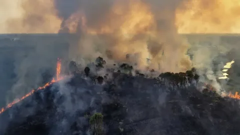 Karhutla 2026: Pemulihan Hutan Butuh Waktu Hingga 100 Tahun, Ilmuwan Ingatkan Risiko Kebakaran Berulang