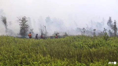 El Nino Memperparah Kebakaran Hutan di Kalimantan, Indonesia Andalkan Teknologi Modifikasi Cuaca
