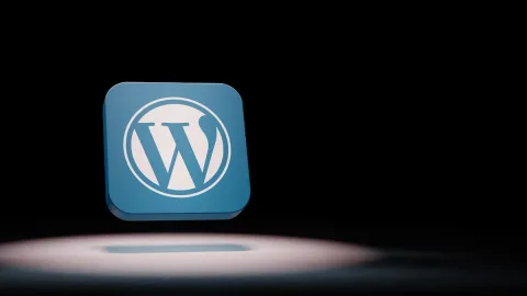 Celah Keamanan Plugin Form WordPress Ancam 300 Ribu Situs: Pengguna Indonesia Perlu Waspada
