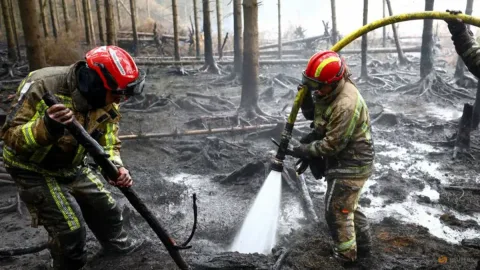 Kebakaran Hutan Belgia Terkendali, Evakuasi Dicabut: Pelajaran bagi Indonesia
