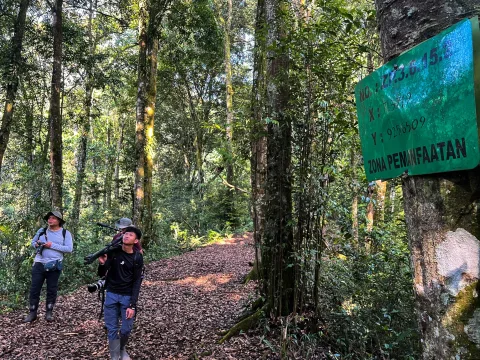 Ekowisata TNGGP: Antara Konsesi 55 Tahun dan Benteng Masyarakat Lokal