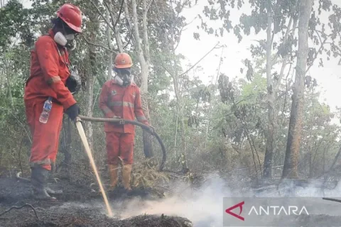 Hujan Buatan Digencarkan, Pemerintah Perluas Operasi Modifikasi Cuaca di Tiga Provinsi Kalimantan