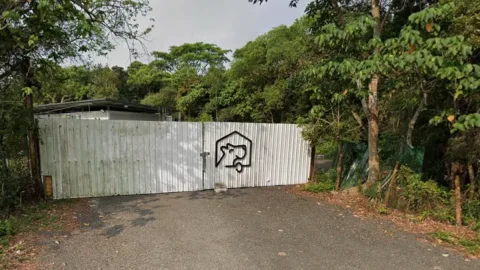 Tewas Digigit Anjing di Pet Hotel: Insiden Mematikan di Hong Kong Picu Pertanyaan soal Keselamatan Industri Hewan Peliharaan
