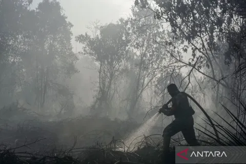 TNI Kerahkan 14.167 Personel dan 43 Helikopter: Perlawanan Terpadu Lawan Karhutla di Enam Provinsi Kritis