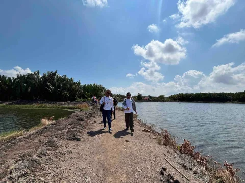 Petambak Delta Mahakam Buktikan Mangrove Bukan Penghalang, Justru Kunci Panen Berlipat
