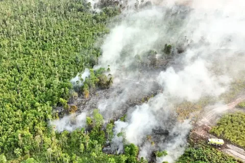 Kebakaran Hutan Kalimantan Meluas, Pakar Peringatkan Puncak Krisis Belum Berlalu