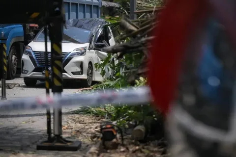 Pohon Tumbang di Dempsey Singapura: Sopir Taksi Online Selamat, Jalan Loewen Lumpuh