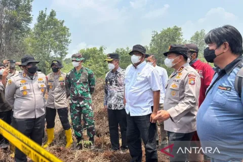 85 Ribu Hektare Konsesi Terbakar: Verifikasi 335 Perusahaan Jadi Ujian Kredibilitas Tata Kelola Lahan