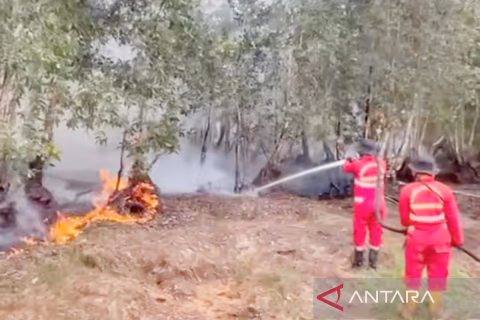 Menhut Kerahkan Armada Water Bombing Tambahan ke Kalsel: Titik Panas Kembali Meningkat Jadi 44