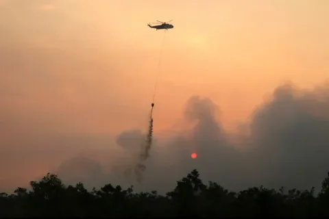 Kabut Asap Kebakaran Hutan Meluas, Kasus ISPA di Indonesia Melonjak 200 Ribu