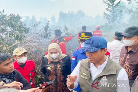 Kebakaran Way Kambas Padam, Populasi Gajah Sumatera Aman: Pelajaran Siaga Karhutla