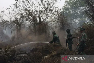 Karhutla 2026: Kemenkes Kerahkan 314 Tenaga Medis dan Ratusan Ribu Masker ke Tujuh Provinsi