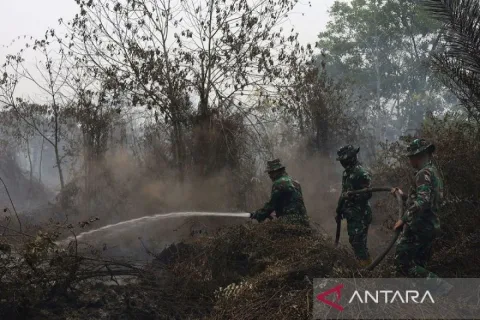 BNPB: Penanganan Karhutla Lintas Batas Butuh Kerja Sama, Bukan Saling Tuding