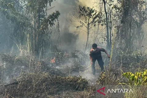 1.923 Titik Panas Terpantau di Papua Tengah, Nabire Terparah: Ancaman Karhutla dan ISFA Mengintai
