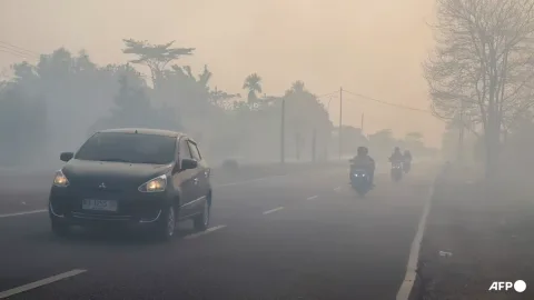 Polisi Tangkap 72 Tersangka Pembakar Hutan, Jejak Perusahaan Mulai Terendus