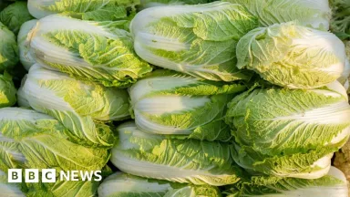 Formalin pada Kubis di China: Investigasi Diluncurkan, Pasar Asia Waspada