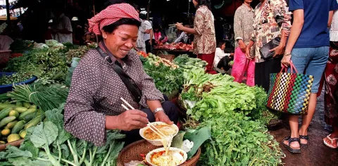 Pembiayaan Mikro di Asia Gagal Menepis Kemiskinan: Pinjaman Kecil, Beban Besar