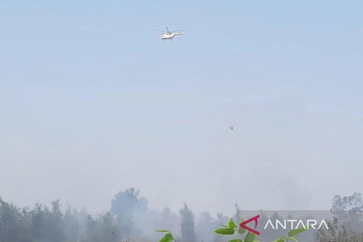 Empat Helikopter Water Bombing Dikerahkan BNPB Kendalikan Karhutla di Kalsel