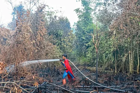 Remaja Superman Bantu Padamkan Kebakaran Hutan di Kalimantan, Aksi Heroik Viral