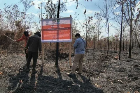 Enam Perusahaan Kehutanan Kena Sanksi: 1.511 Hektare Lahan Terbakar di Kalimantan
