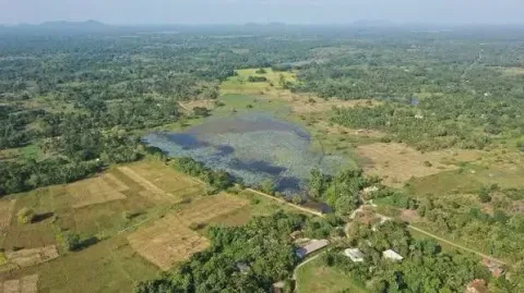 Krisis Air Sri Lanka: 74 Waduk Menyusut Drastis, Pertanian Terancam